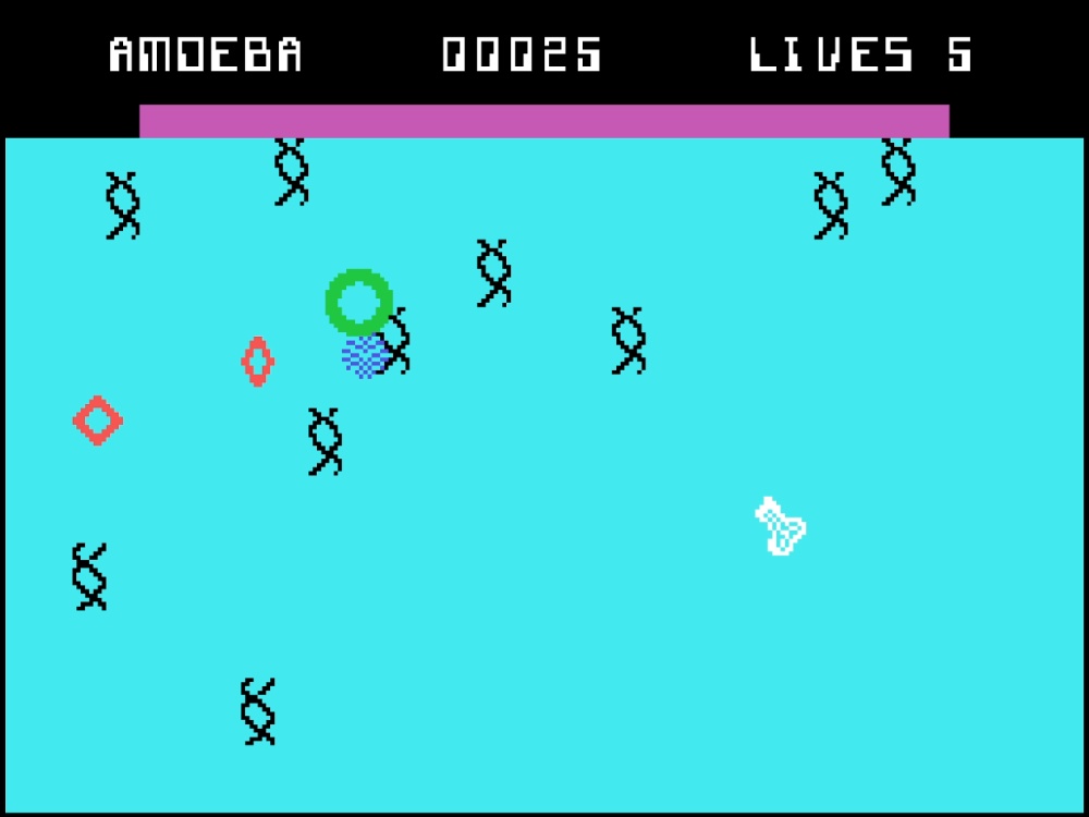 Gameplay of Evolution for Colecovision